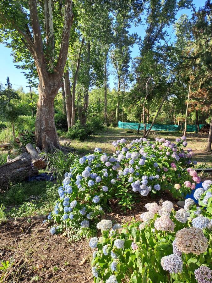 Casa Eden Exclusiva Y Comoda Casona De Descanso A Tan Solo 1 Hora De Bs As Βίλα Tigre Εξωτερικό φωτογραφία