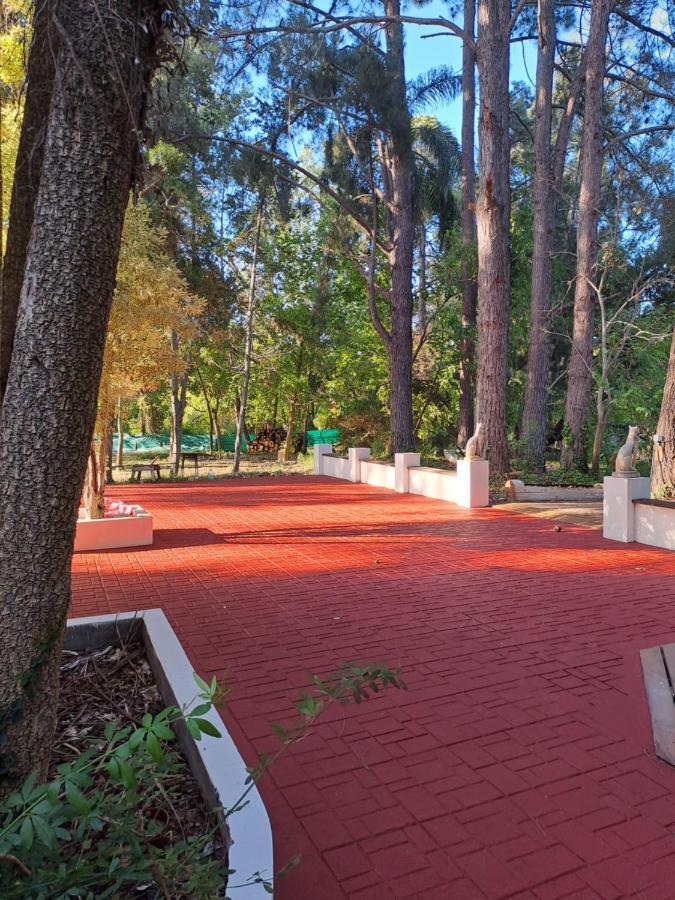 Casa Eden Exclusiva Y Comoda Casona De Descanso A Tan Solo 1 Hora De Bs As Βίλα Tigre Εξωτερικό φωτογραφία